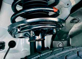 Chihuahua Transmission Performance Suspension, Shocks and Struts