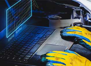 Chihuahua Transmission diagnostic services